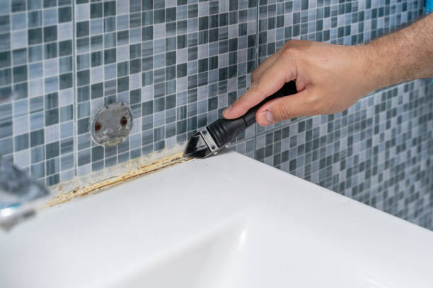 Best Emergency Mold Removal  in Mount Sterling, KY
